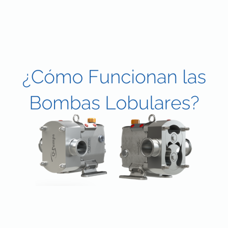 Cómo Funcionan las Bombas Lobulares: Guía Completa 